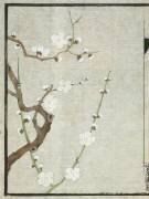 Meika jûyû (Shiseiho) - Muzeo.com