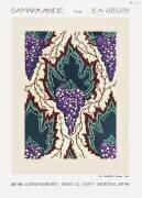 Motif de raisin. Samarkande : 20 Compositions en couleurs dans le Style oriental (Émile-Allain Séguy) - Muzeo.com