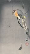 Oiseau sur une branche observant une araignée (Ohara Koson) - Muzeo.com