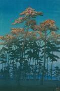 Parc Hikawa à Omiya (Hasui Kawase) - Muzeo.com