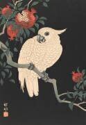 Perroquet blanc et grenade (Ohara Koson) - Muzeo.com