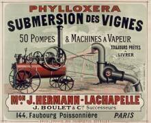 Phyloxera, Submersion des Vignes, 50 pompes et machines à vapeur (Jules Chéret) - Muzeo.com