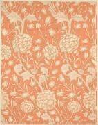 Tulipe sauvage (anonyme) - Muzeo.com