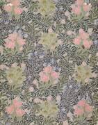 Tulipes (William Morris) - Muzeo.com