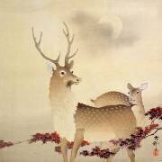 Un cerf et son petit sous la lune (Ohara Koson) - Muzeo.com