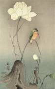Un martin-pêcheur et un lotus (Ohara Koson) - Muzeo.com
