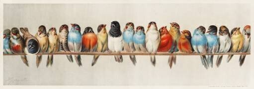 Un perchoir d'oiseaux (Hector Giacomelli) - Muzeo.com