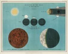 Une lithographie d'astronomie : l'éclipse de la Lune (anonyme) - Muzeo.com