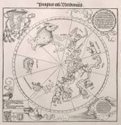 Carte du Ciel du Sud, avec des représentations de constellations (Albrecht Dürer) - Muzeo.com