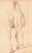 Cheval debout, vu de dos (Edme Bouchardon) - Muzeo.com