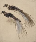 Deux études pour un oiseau de paradis (Rembrandt) - Muzeo.com