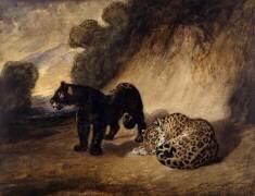 Deux jaguars du Pérou (Antoine-Louis Barye) - Muzeo.com