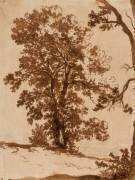 Etude de paysage : étude d'arbres (Nicolas Poussin) - Muzeo.com