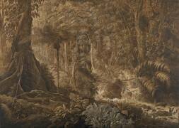 Forêt vierge du Brésil (Charles Othon Frédéric...) - Muzeo.com