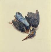 Martin-pêcheur (Joseph Mallord William Turner) - Muzeo.com