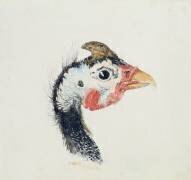 Pintade (Joseph Mallord William Turner) - Muzeo.com