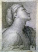 Profil de visage dans le style de Raphaël (Jean-Auguste-Dominique Ingres) - Muzeo.com