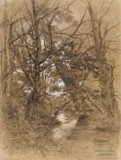 Ruisseau entre des arbres et du feuillage (Gustave Cesaire Garaud) - Muzeo.com