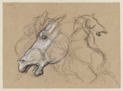 Tête de cheval et croquis de chevaux au galop (Eugène Delacroix) - Muzeo.com
