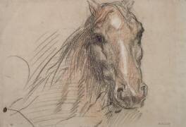 Tête de cheval, vue presque de face (Théodore Chasseriau) - Muzeo.com