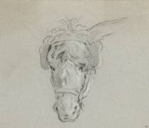 Tête d'âne, de face (Jean-Baptiste Oudry) - Muzeo.com