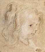 Tête d'enfant, vue de profil (Pierre Paul Rubens) - Muzeo.com