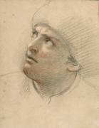 Tête d'homme, tournée vers la gauche (Charles Le Brun) - Muzeo.com