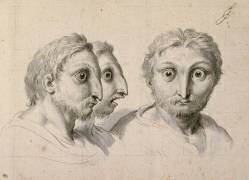 Trois têtes d'hommes en relation avec le chat-huant (Charles Le Brun) - Muzeo.com