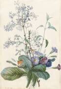 Un bouquet de fleurs avec des insectes (Pierre Joseph Redouté) - Muzeo.com
