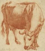 Une vache au pâturage (Adriaen van de Velde) - Muzeo.com