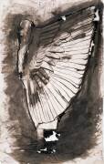 Vieil homme à l'habit d'oiseau (Victor Hugo) - Muzeo.com