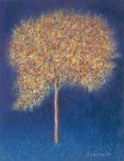 Arbre en fleurs (Peter Davidson) - Muzeo.com
