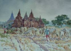 Bagan (Wilson Clive) - Muzeo.com