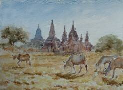 Depuis Laymyethna (Wilson Clive) - Muzeo.com