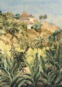 Lankatilaka du jardin de poivre (Wilson Clive) - Muzeo.com