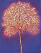 L'arbre d'or (Peter Davidson) - Muzeo.com