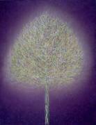 L'arbre mystique (Peter Davidson) - Muzeo.com