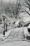 Neige à Central Park (Max Ferguson) - Muzeo.com