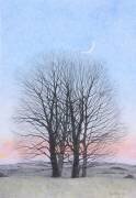 Nouvelle Lune (Ann Brain) - Muzeo.com