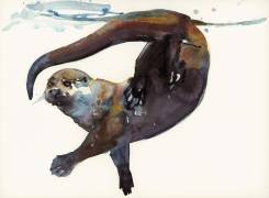 Otter Study II -'Talisker' (Mark Adlington) - Muzeo.com