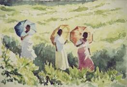 Parasols, Ramboda (Wilson Clive) - Muzeo.com