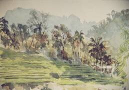 Rizières en escalier (Wilson Clive) - Muzeo.com