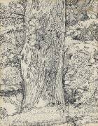 Arbre (Harold Gilman) - Muzeo.com