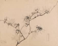 Branche de magnolia en fleurs pour un vase haut à collerette (Emile Gallé) - Muzeo.com