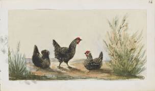 Carnet : trois poules dans la campagne (Léon Bonnat) - Muzeo.com