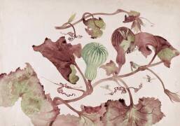 Courge et guêpes (Emile Gallé) - Muzeo.com