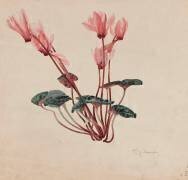 Cyclamen (Emile Gallé) - Muzeo.com