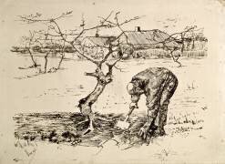 Dans le verger (Vincent van Gogh) - Muzeo.com