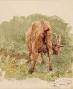 Etude de chèvre (Rosa Bonheur) - Muzeo.com