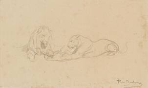 Etude de lion et lionne (Rosa Bonheur) - Muzeo.com